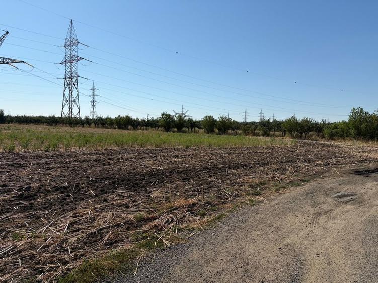 Teren agricol extravilan de 35000 mp, în Exterior Vest