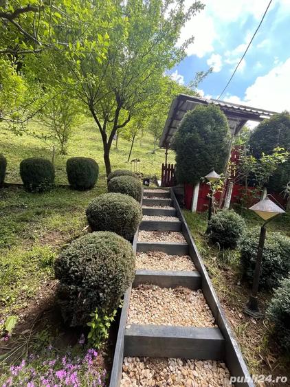 Casă cu 4 camere cu Teren 1500 Mp în Dobra