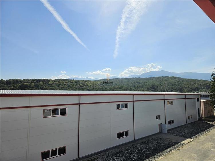 Spațiu industrial, de 6,500 mp, în Mârșa