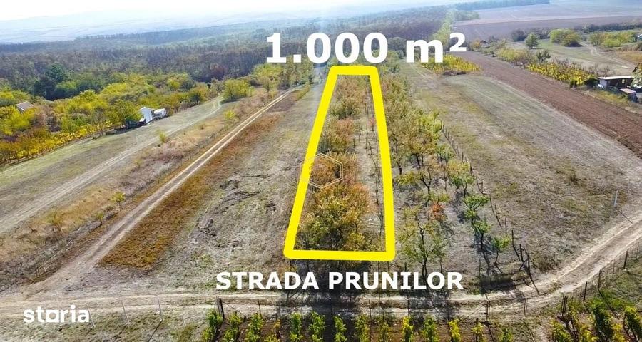 Teren de 1000 mp, în Burdea
