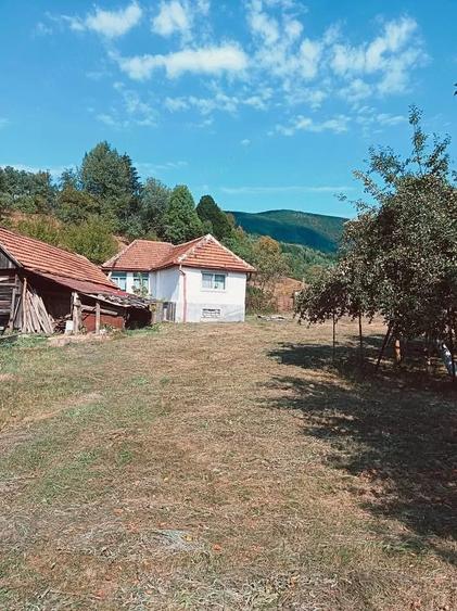 Casă cu 2 camere cu Teren 10000 Mp în Central