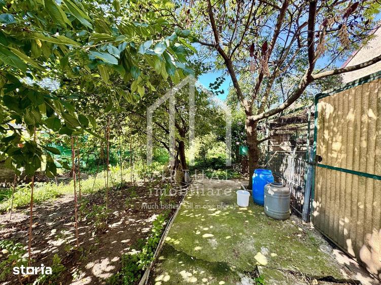 Casă cu 5 camere cu Teren 545 Mp în Terezian