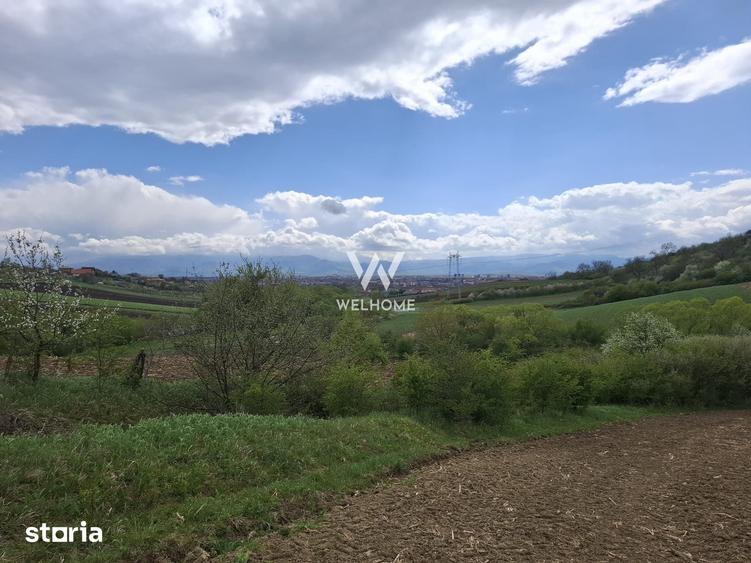 Teren de 5000 mp, în Gușterița