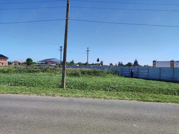 Teren în Vetiș