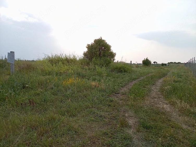 Teren Extravilan 2.900 mp in Jud. Timi? Deschidere la DRUMUL PRINCIPAL | Curent peste drum - 2