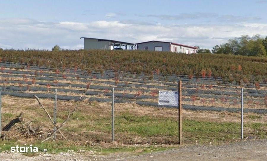 Spațiu comercial, de 370 mp, în Lăpugiu de Jos