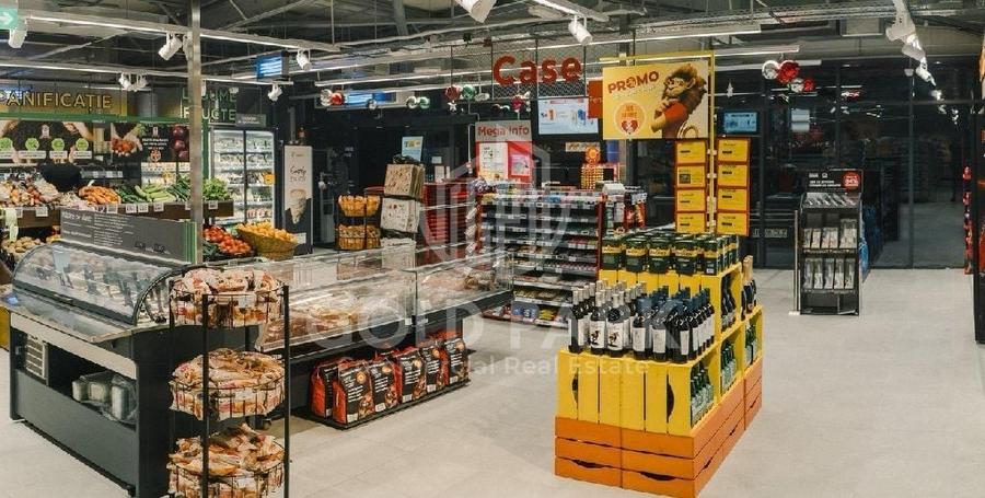 Spațiu comercial, de 461 mp, în Dacia