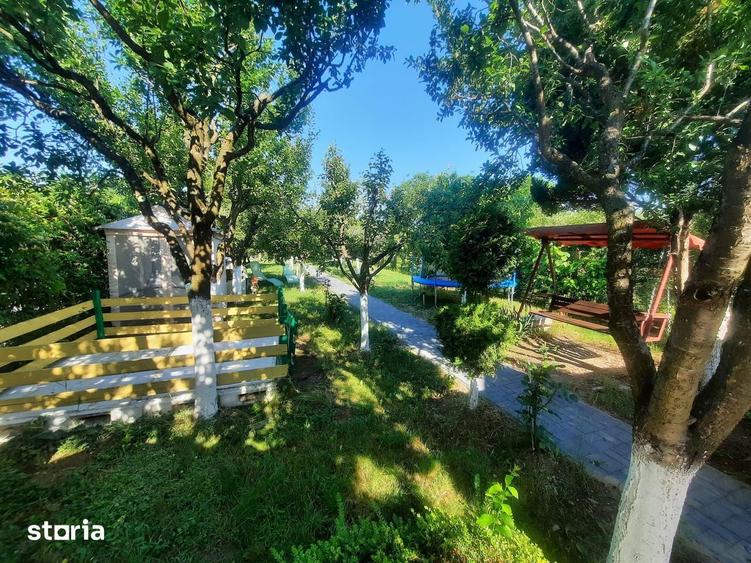 Casa de vacanta teren 5 Ari intravilan Bercu Rosu - Satu Mare - 6