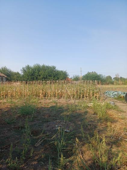 Casă cu 4 camere în Moțăței
