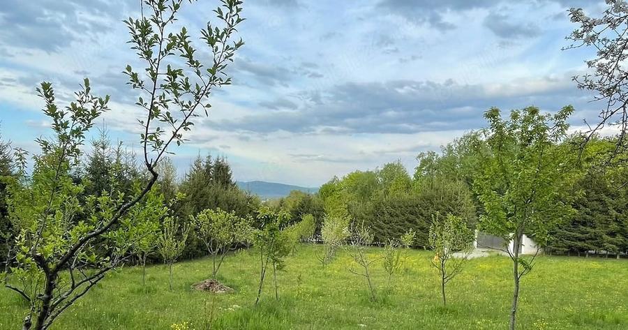 Teren de 3700 mp, în Piatra