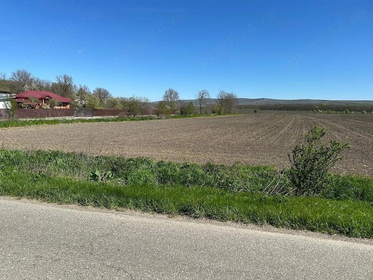Teren de 10400 mp, în Bălteni
