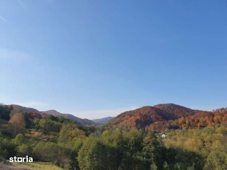 Teren de 20000 mp, în Valea