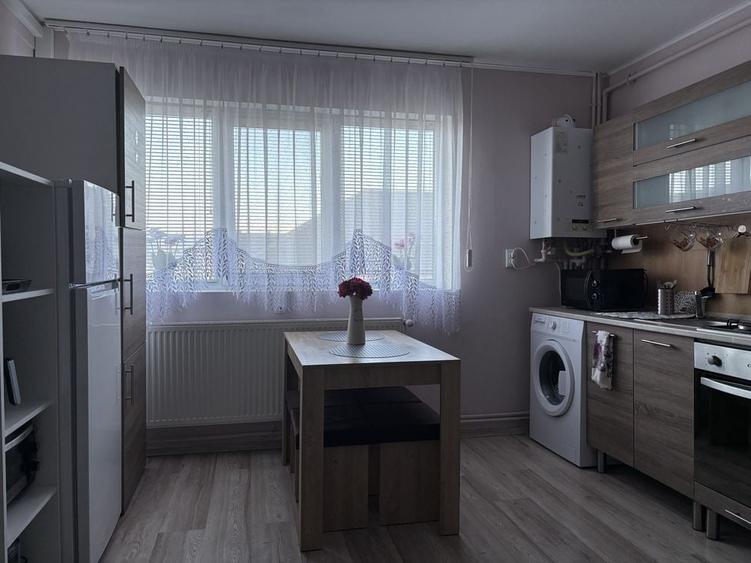 Apartament cu 2 camere în Terezian