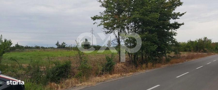 Teren intravilan 4.800 mp langa Autostrada Pitesti - SuperNova - 3