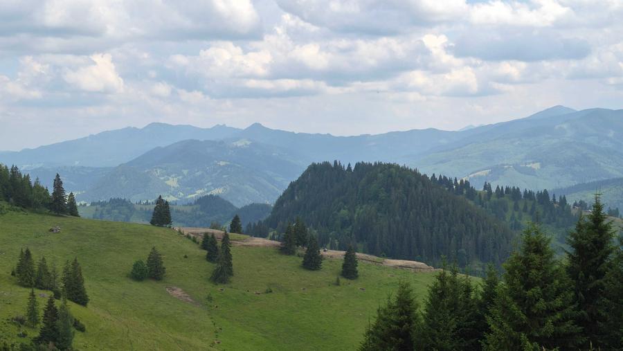 17 Ha Hectare pe Via Transilvanica intravilan + extravilan in Fundu Moldovei - 3