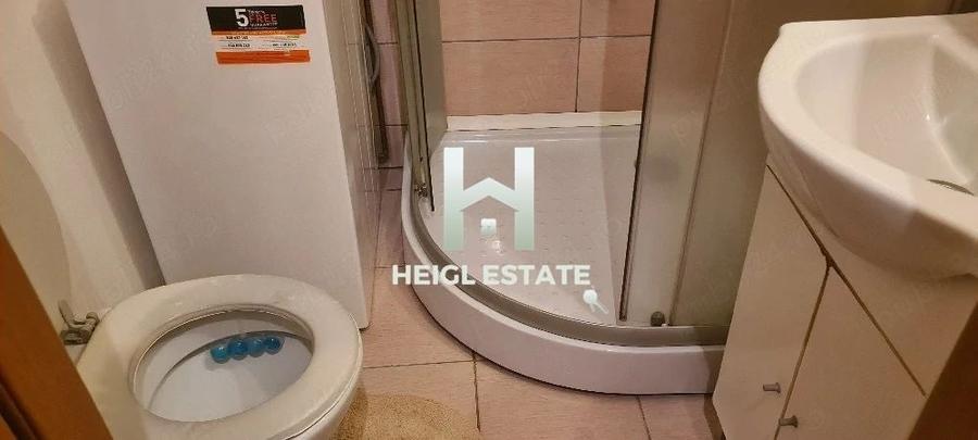Garsonieră în Șagului