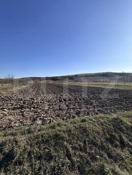 Teren Construcții intravilan de 5800 mp, în Exterior Est