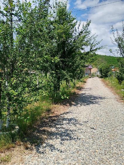 Teren de 700 mp, în Șura Mare