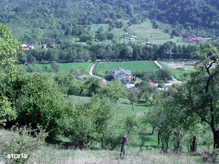 Casă cu 6 camere cu Teren 60000 Mp în Corbi