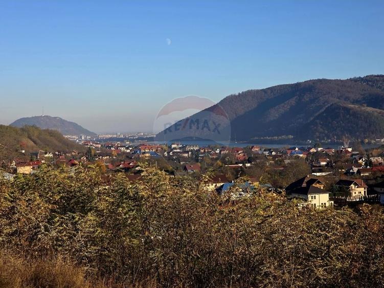Teren Construcții intravilan de 6874 mp, în Alexandru cel Bun