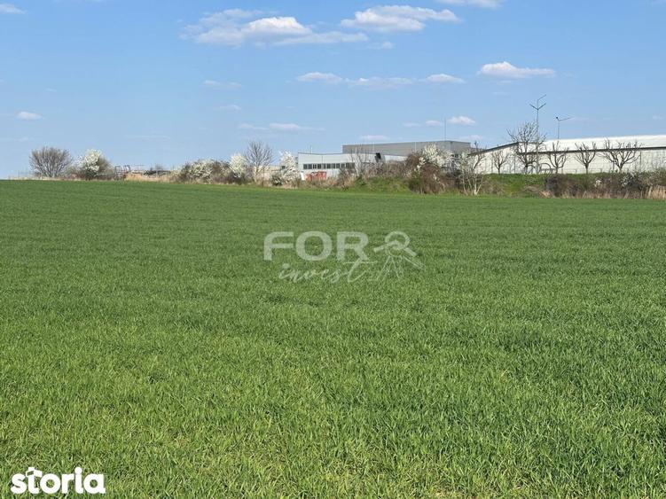 Teren de 1000 mp, în Calea Aradului