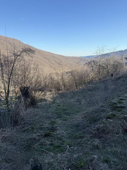 Teren de 1780 mp, în Valea Doftanei