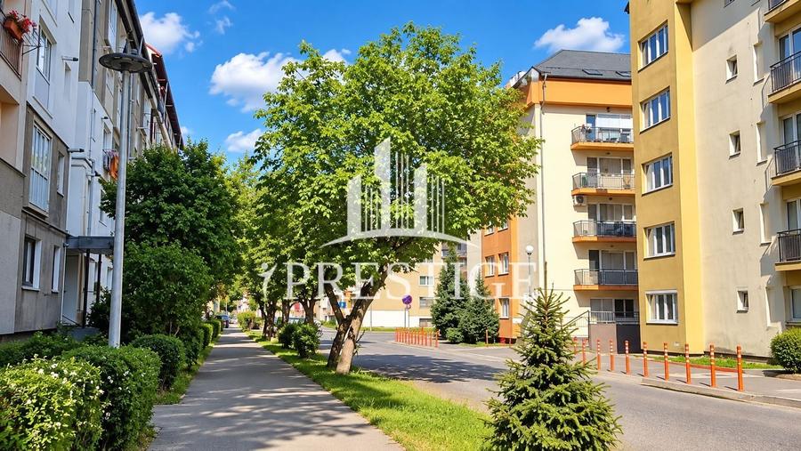Apartament cu 3 camere decomandat, mobilat în Terezian