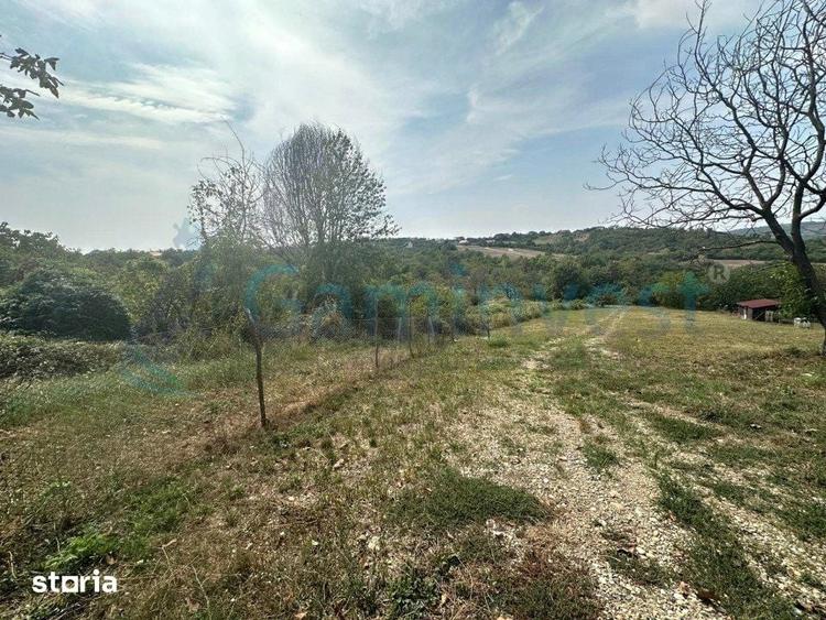 Teren de 1579 mp, în Paleu