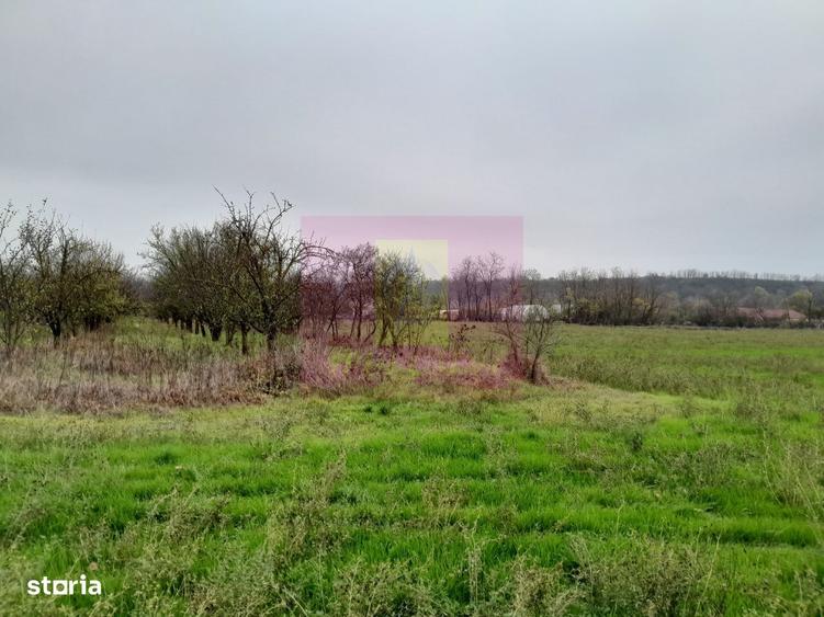 Casă cu 3 camere cu Canalizare în Bărcănești