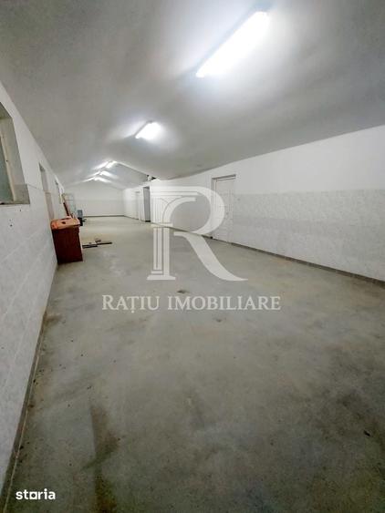 Spațiu comercial, de 850 mp, în Borș