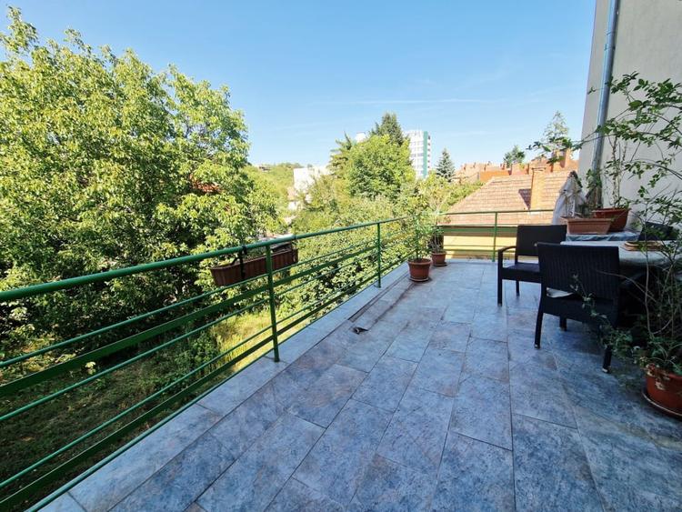 Apartament Pet-Friendly langa Parcul Central - 9