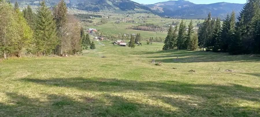 Teren de 28307 mp, în Coșna