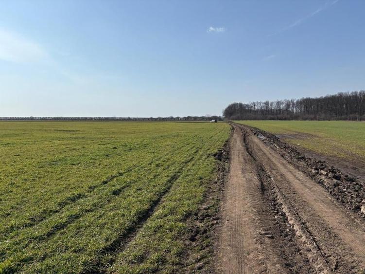 Teren 10700 MP Lotizat in parcele de 500 MP AFUMATI - 1