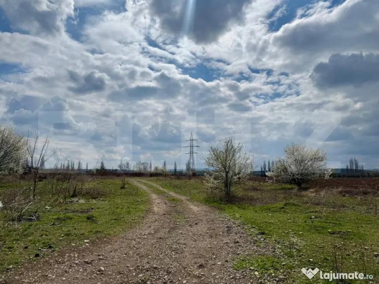 Teren de 7800 mp, în Central