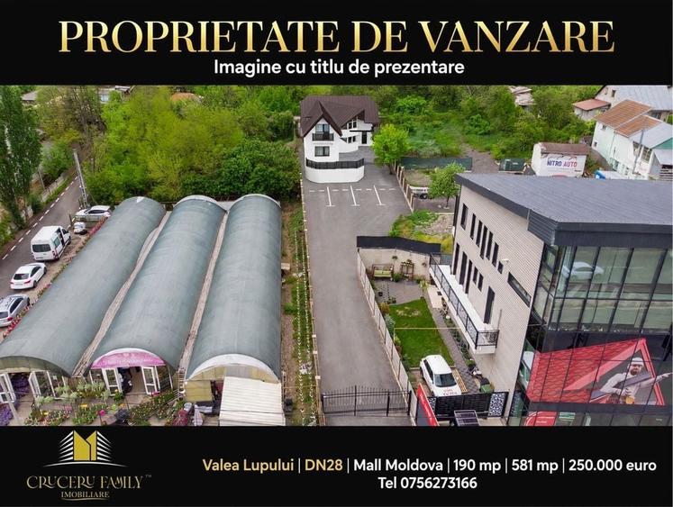 Spațiu comercial, de 190 mp, în Valea Lupului