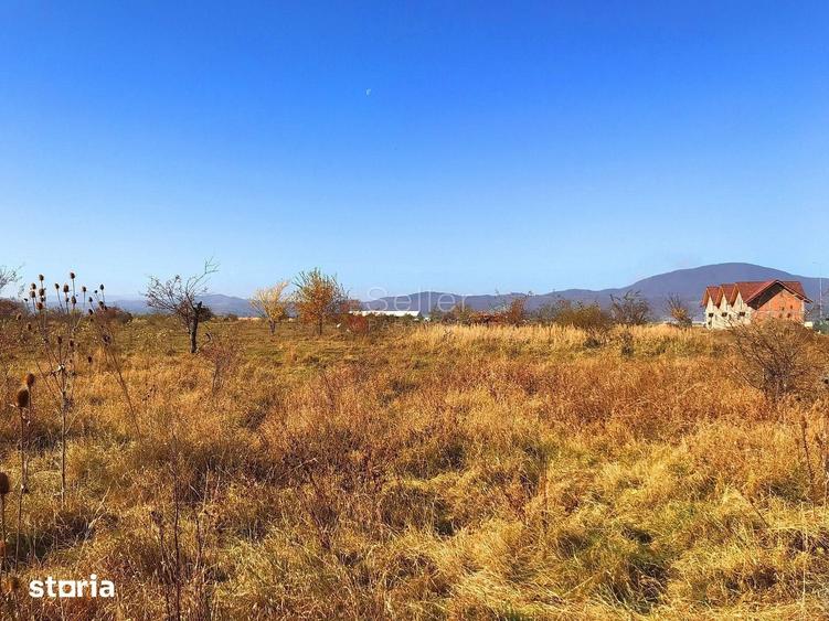 Teren de 6000 mp, în Ghimbav