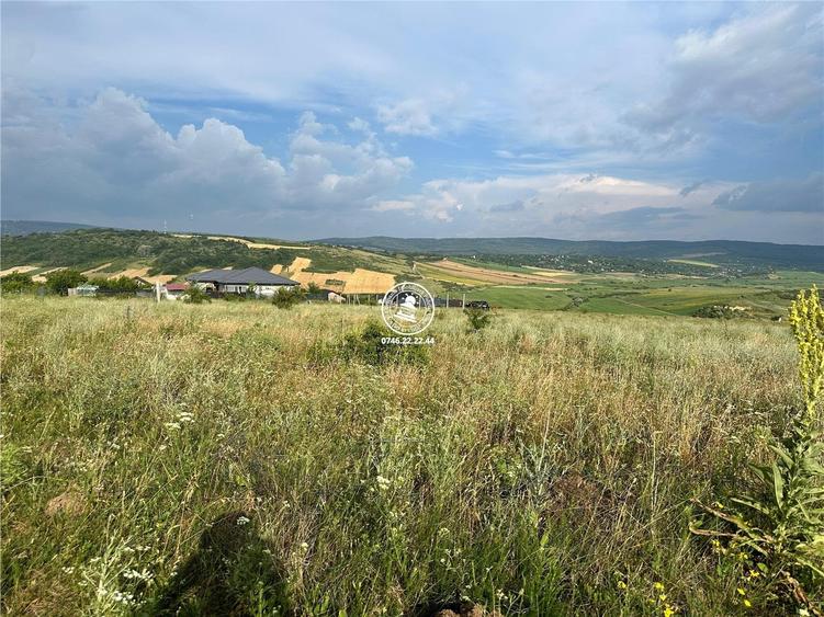 Teren de 633 mp, în Ciurea
