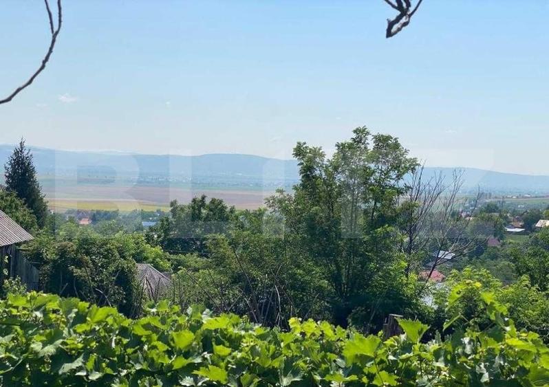 Casă individuală cu 2 camere cu Canalizare în Sacoșu Mare