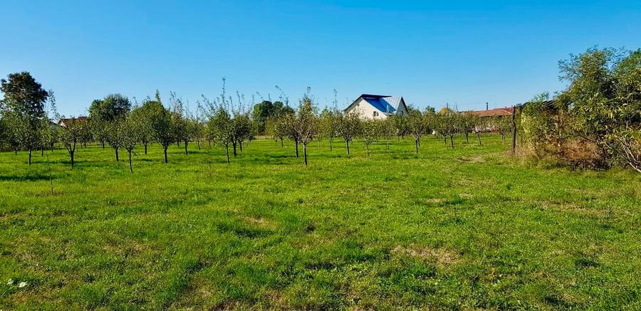 Casă individuală cu 3 camere cu Teren 6000 Mp în Gliganu de Sus