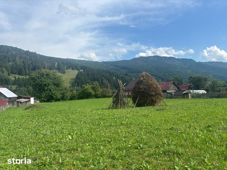 Teren de 7100 mp, în Grințieș
