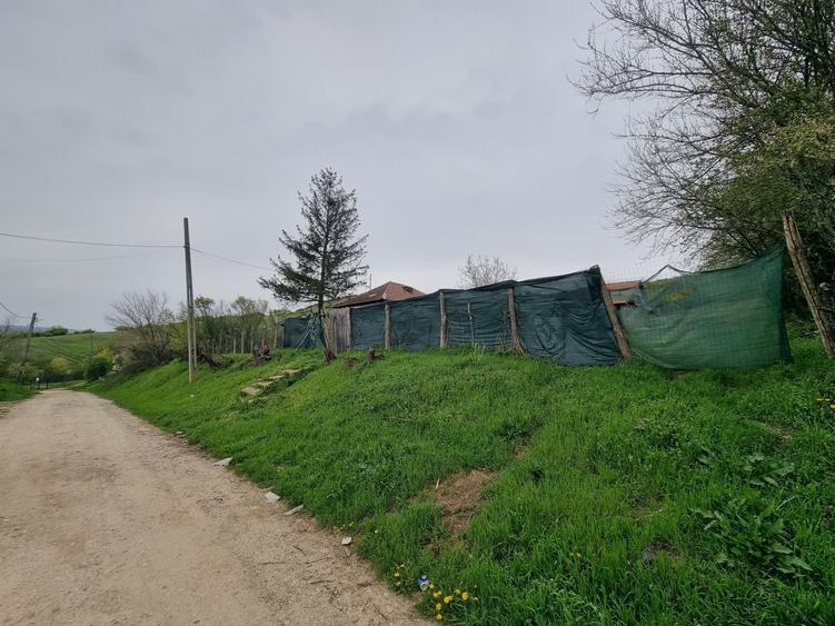 Casă cu 2 camere în Goiești