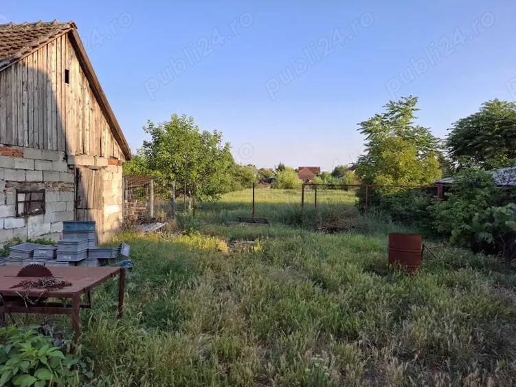 Casă cu 3 camere cu Teren 1820 Mp în Sânandrei