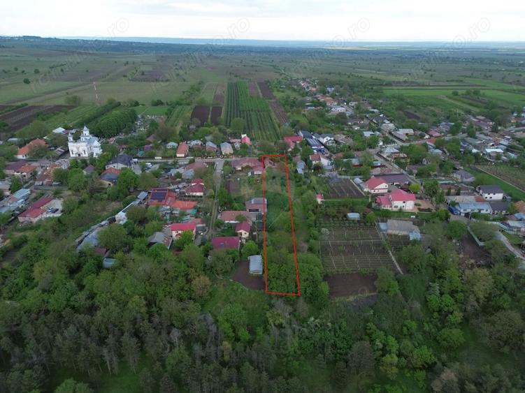 Casa cu teren Tifesti / Sarbi - 8