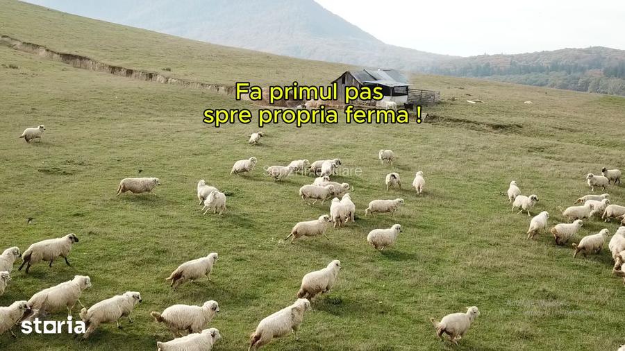 Parcele 1100 mp Pentru Microferme, Gradini Bio & Cre?terea Animalelor