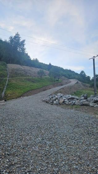 Teren Construcții intravilan de 10000 mp, în Bistrița Bârgăului
