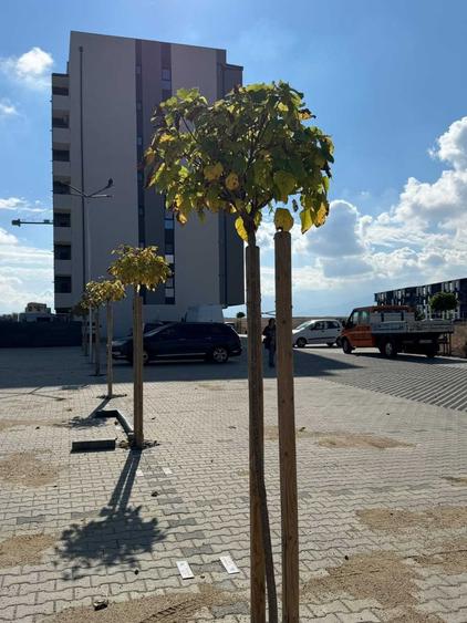 Apartament decomandat în Central