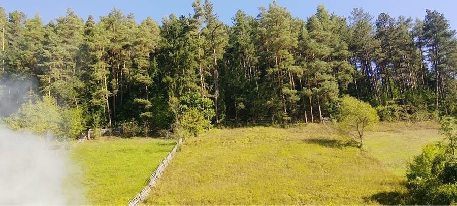 Teren de 2800 mp, în Telec