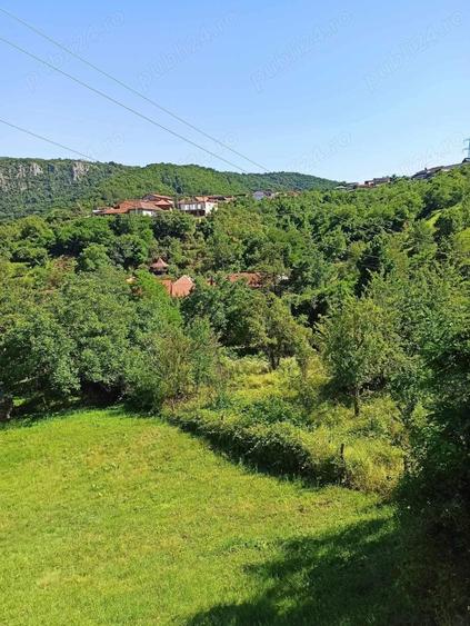 Teren de 1243 mp, în Dubova