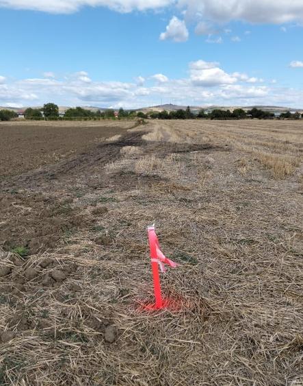 Casă individuală cu 3 camere cu Teren 7089 Mp în Valea Nicovani