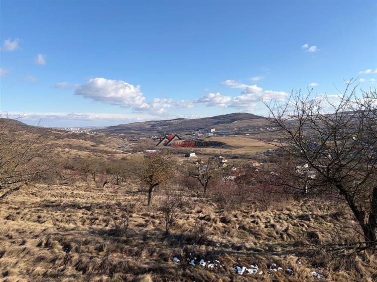 Teren Construcții intravilan de 586 mp, în Baciu